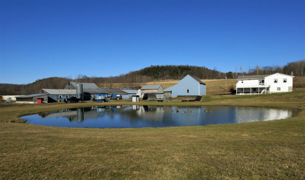 Braymer's Mountain Farm Pond